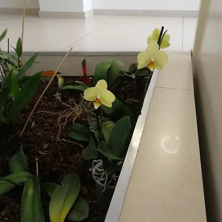 호텔 Contact Des Etats-unis