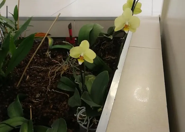 Отель Des Etats-unis